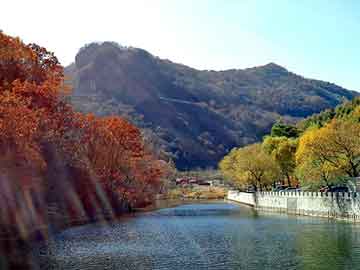 新澳天天开奖资料大全旅游团，沭阳seo培训